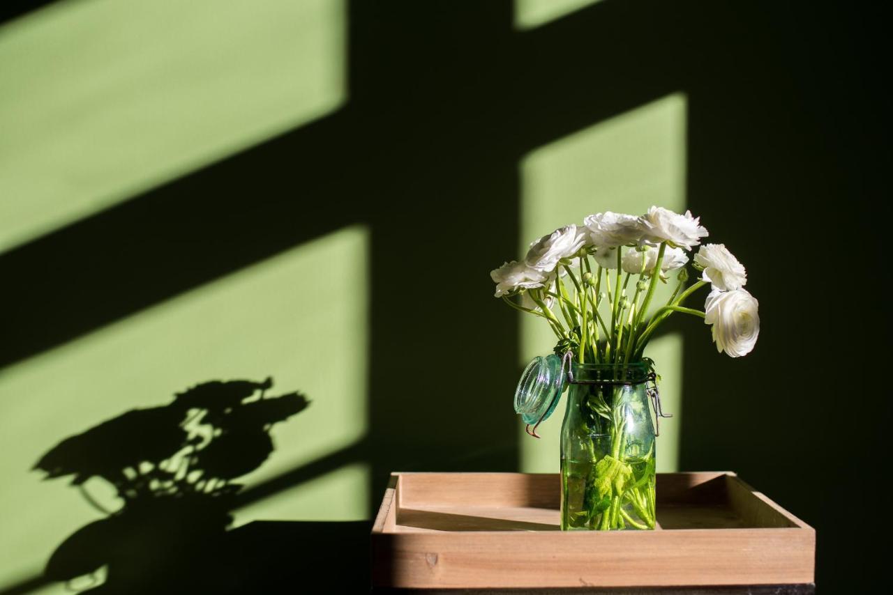 Bed and Breakfast Sur Le Quai Carcassonne Esterno foto